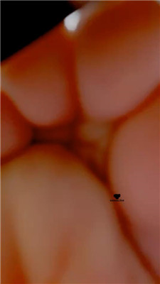 2408011523_20240801152535.JPG