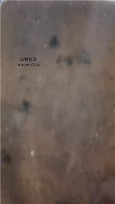 2408100744_20240810074520.JPG