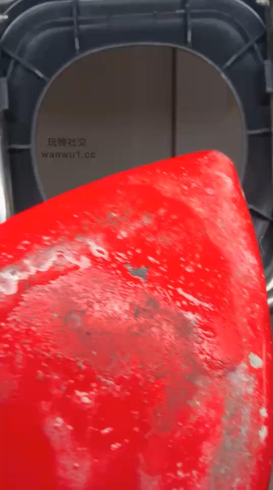 2408250839_20240825084105.JPG