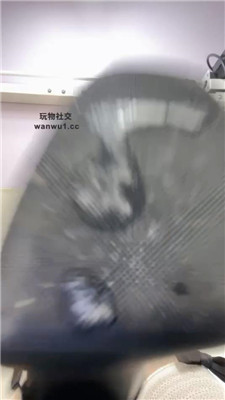 2408251441_20240825144255.JPG