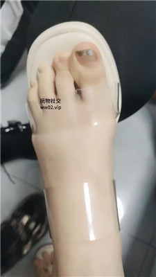 xq_20241014050802.JPG