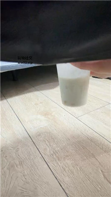 2410182250_20241018225524.JPG