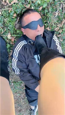 喵主_20241019173919.JPG