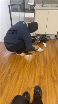 倪小主1结尾2分钟卡顿_20241019174514.JPG