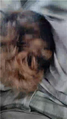 hy_20241020212436.JPG