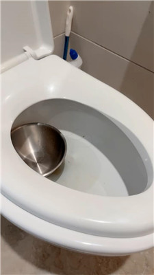 2410211425_20241021143407.JPG