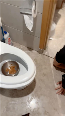 2410211425_20241021143430.JPG