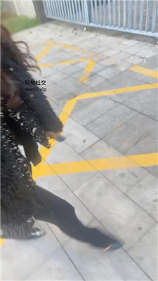 2410231928_20241023192948.JPG