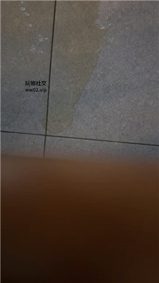 2410260725_20241026072808.JPG
