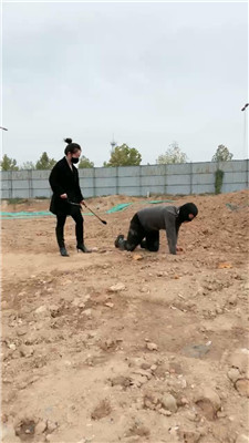 lajieAI1710_20241026171314.JPG