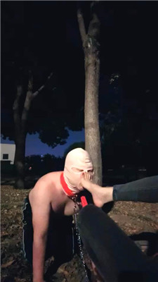 2410270930_20241027093230.JPG