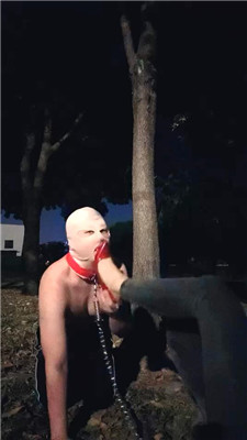 2410270930_20241027093231.JPG