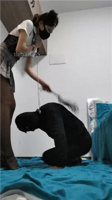 105254ui6szdmizgsiiumd.jpg