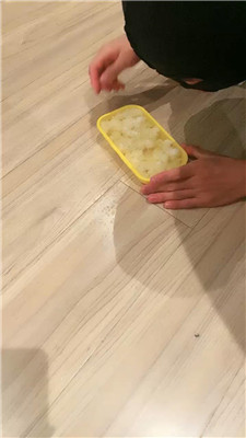 2410272035_20241027203732.JPG