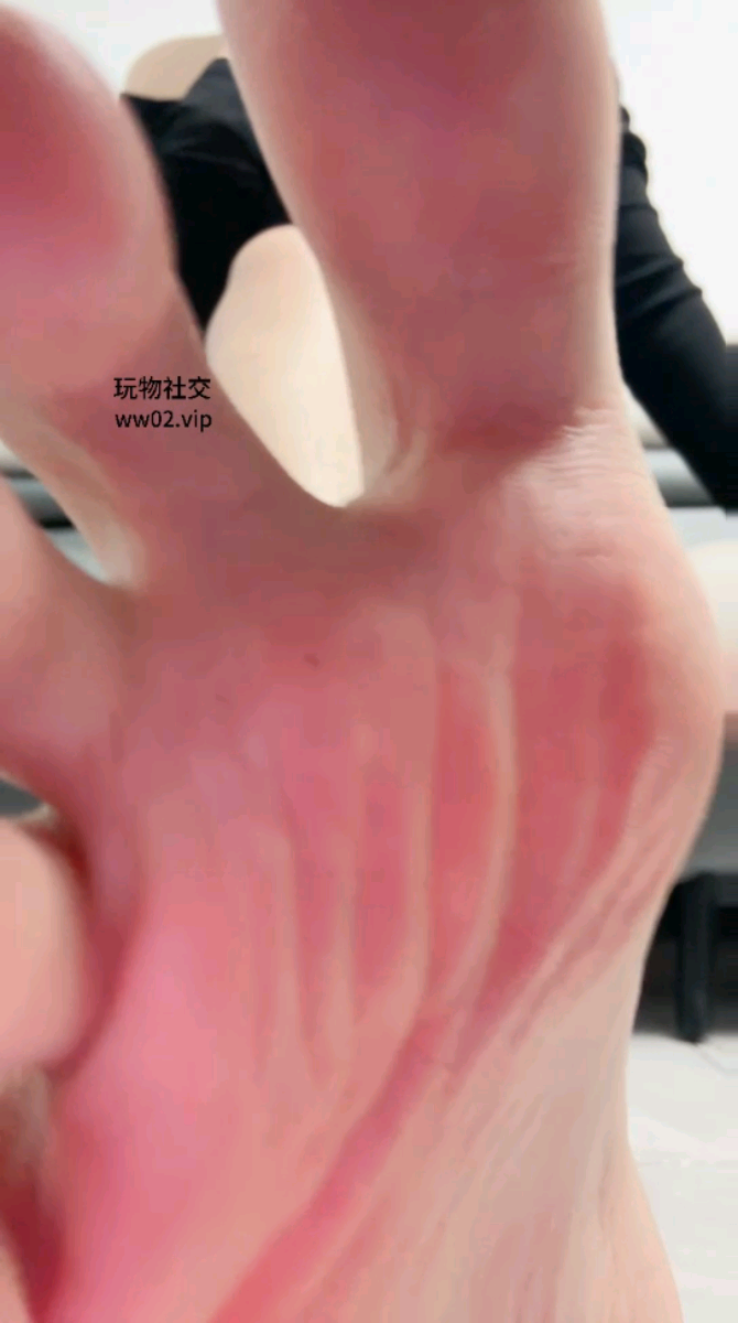 1730104514840.jpg