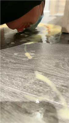 2410281915_20241028191946.JPG