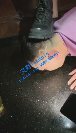 192414lzsrnprrs91frypf.jpg