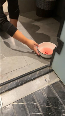 2410290450_20241029045735.JPG