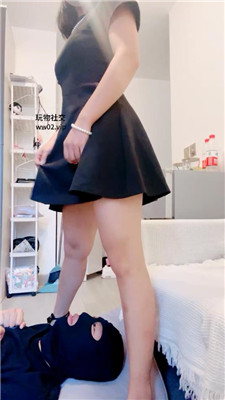 mz_20241031200536.JPG