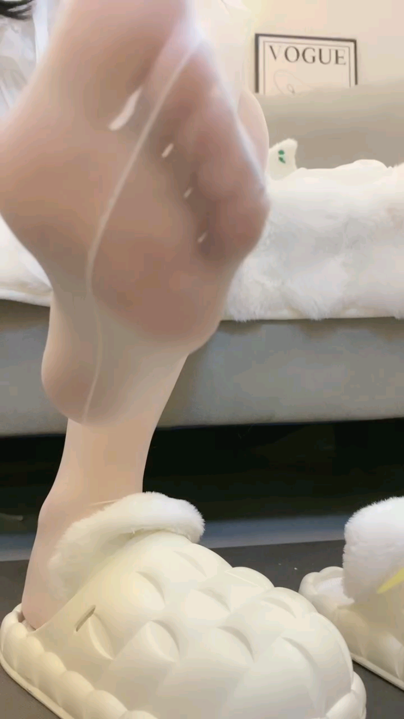 1730547815622.jpg