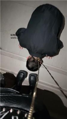 123811l0423efeeewvo0yo.jpg