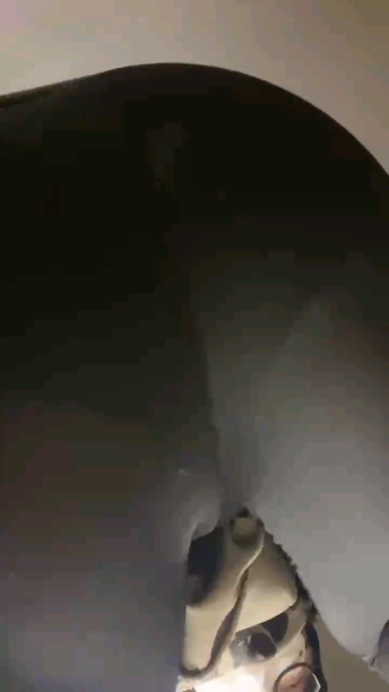 1730777292418.jpg
