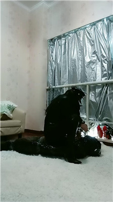 2411231516_20241123151646.JPG