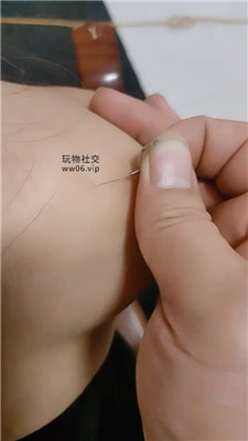 zt_20241129122707.JPG