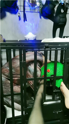 yy_20241231191403.JPG