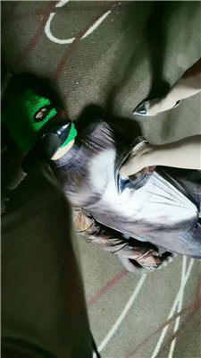 yy_20241231191559.JPG