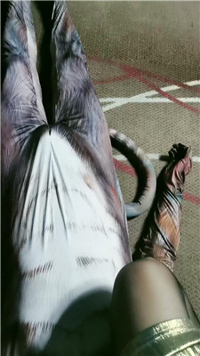 yy_20241231191617.JPG