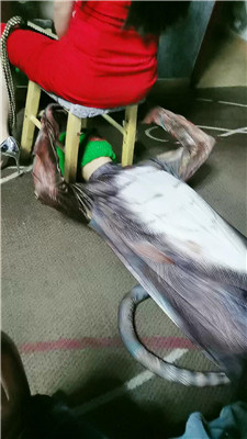 yy_20241231191632.JPG