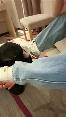 qy_20250101104045.JPG