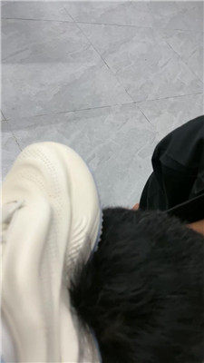 2503051746_20250305174756.JPG