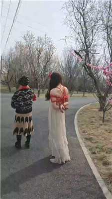 tl_20250326161738.JPG