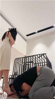 yy_20250405072722.JPG