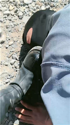 2504051701_20250405170354.JPG