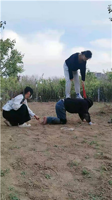 ad_20250412191124.JPG