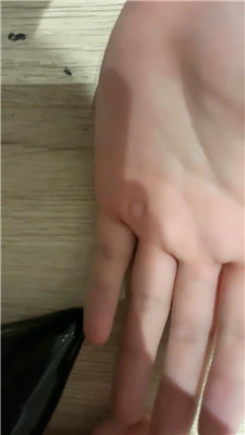 2504132034_20250413203819.JPG