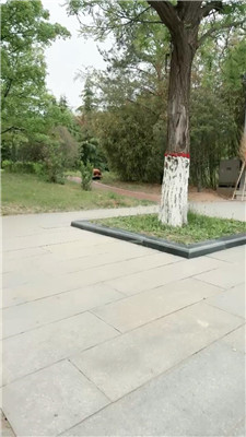 2504221849_20250422185319.JPG