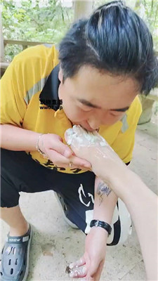 2505051633_20250505163453.JPG