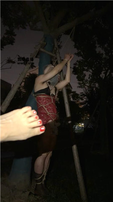2505081513_20250508151743.JPG
