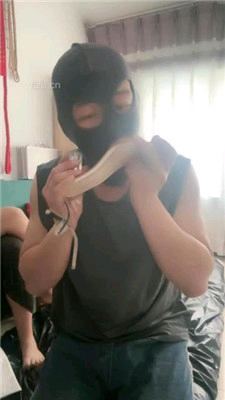 3f385cedcde7fad38941ad37c6404771.jpg 3f385cedcde7fad38941ad37c6404771.jpg