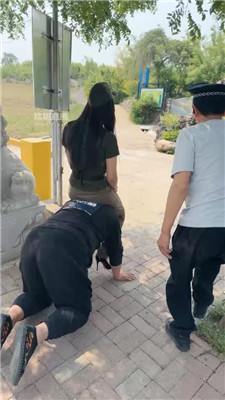 xy_20250522153452.JPG