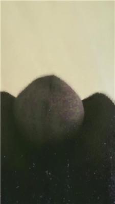 091604oaicdt97cmalddzt.jpg