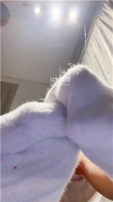 2508281454_20250828151531.JPG