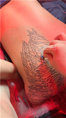 qy (2)_20250906172620.JPG