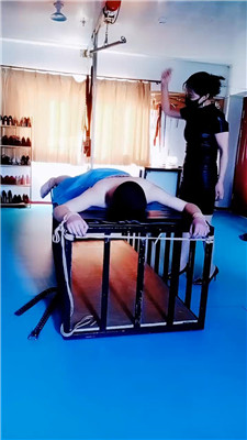 【青妍青云】7105+7347