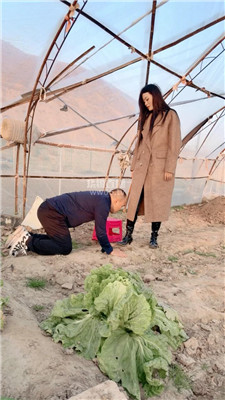 【可可夫妻】2910