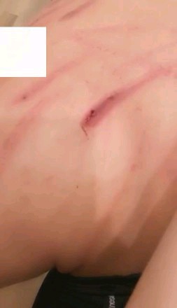 【调教视频】橙橙,爆揍干爹